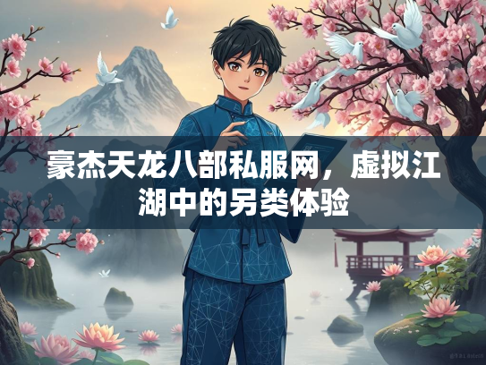 豪杰天龙八部私服网，虚拟江湖中的另类体验  第2张