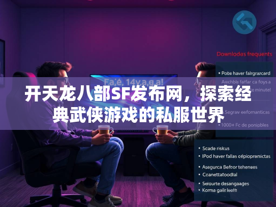 开天龙八部SF发布网，探索经典武侠游戏的私服世界  第3张