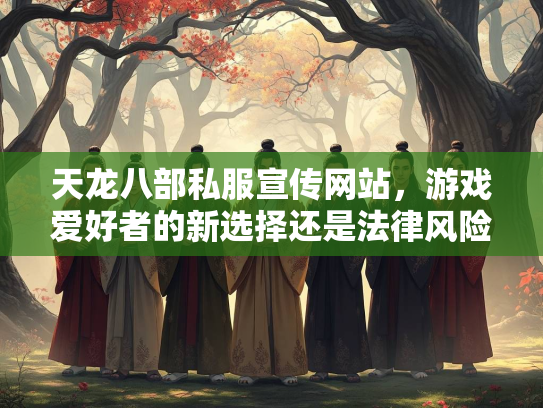 天龙八部私服宣传网站，游戏爱好者的新选择还是法律风险？  第2张