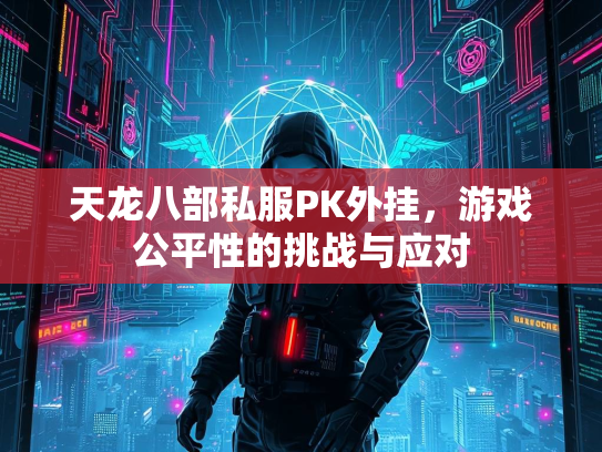 天龙八部私服PK外挂，游戏公平性的挑战与应对  第3张