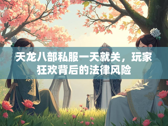 天龙八部私服一天就关，玩家狂欢背后的法律风险  第2张