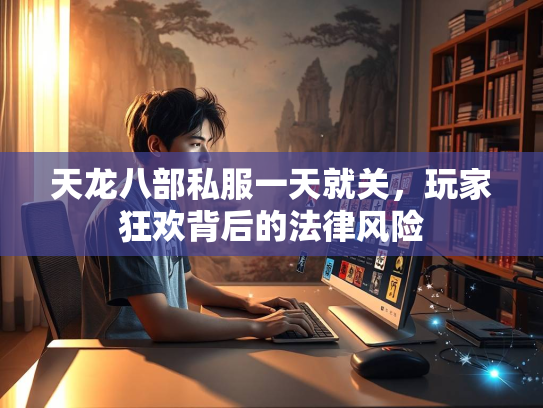 天龙八部私服一天就关，玩家狂欢背后的法律风险  第3张