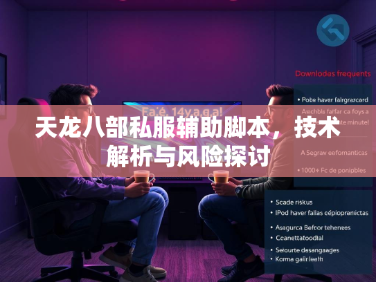 天龙八部私服辅助脚本，技术解析与风险探讨