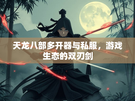 天龙八部多开器与私服，游戏生态的双刃剑  第3张