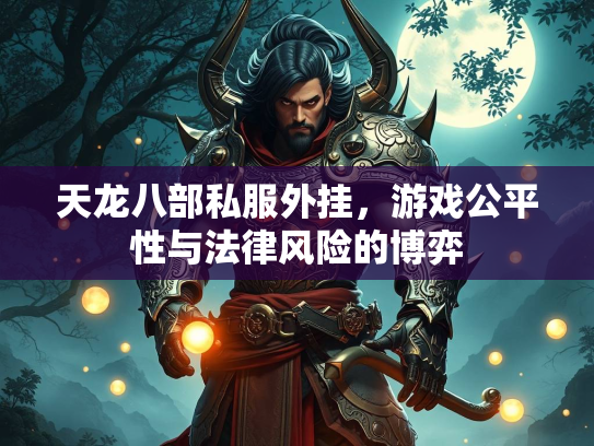 天龙八部私服外挂，游戏公平性与法律风险的博弈  第2张
