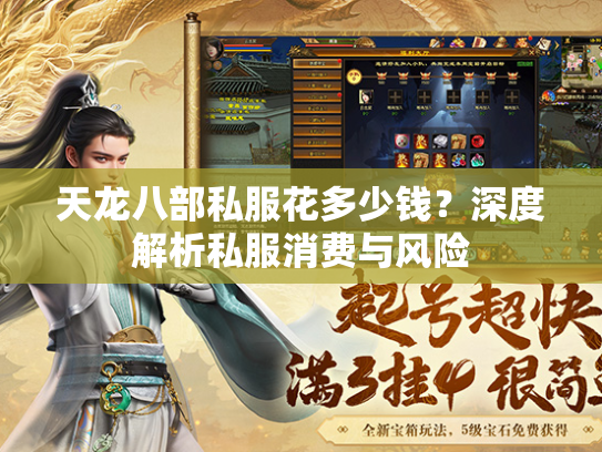 天龙八部私服花多少钱？深度解析私服消费与风险  第3张