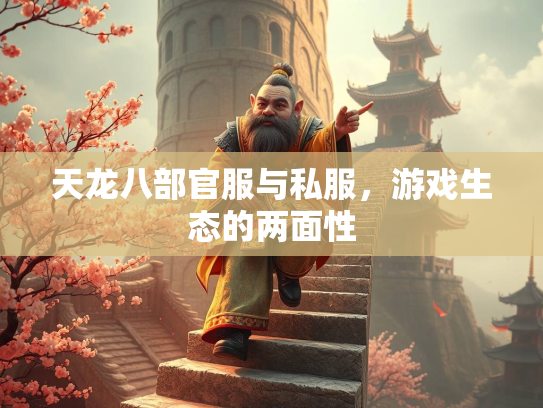 天龙八部官服与私服，游戏生态的两面性