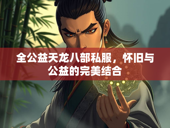 全公益天龙八部私服，怀旧与公益的完美结合