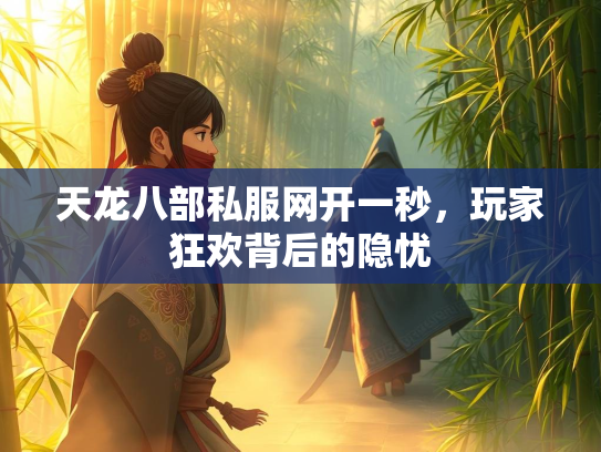 天龙八部私服网开一秒，玩家狂欢背后的隐忧  第2张