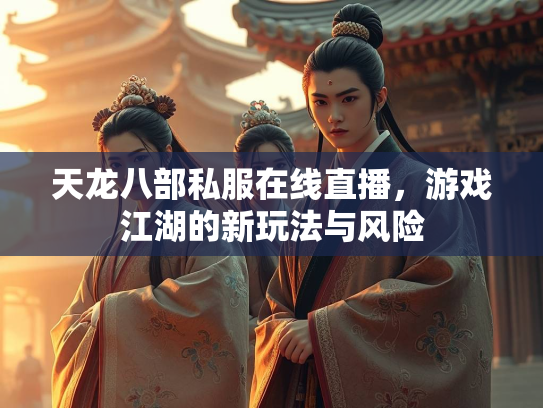 天龙八部私服在线直播，游戏江湖的新玩法与风险  第1张