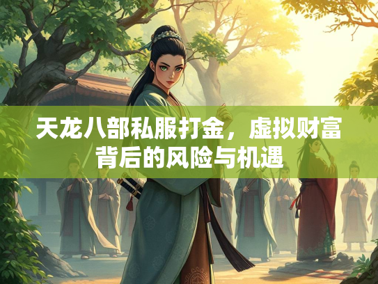 天龙八部私服打金，虚拟财富背后的风险与机遇  第2张