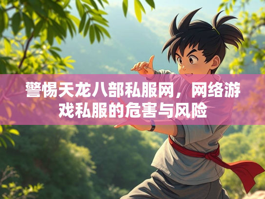 警惕天龙八部私服网，网络游戏私服的危害与风险  第3张