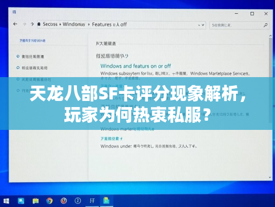 天龙八部SF卡评分现象解析，玩家为何热衷私服？
