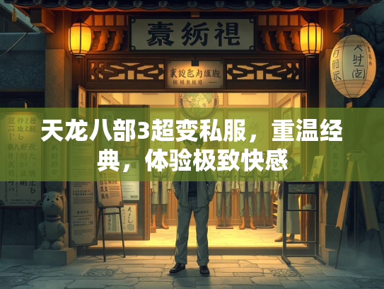 天龙八部3超变私服，重温经典，体验极致快感  第2张