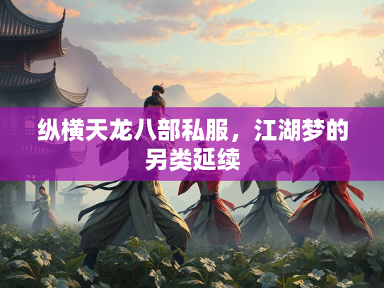 纵横天龙八部私服，江湖梦的另类延续  第2张