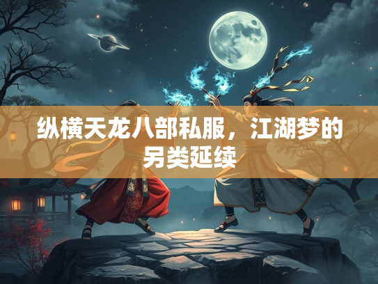 纵横天龙八部私服，江湖梦的另类延续  第3张