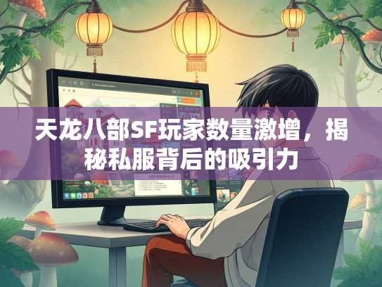 天龙八部SF玩家数量激增，揭秘私服背后的吸引力