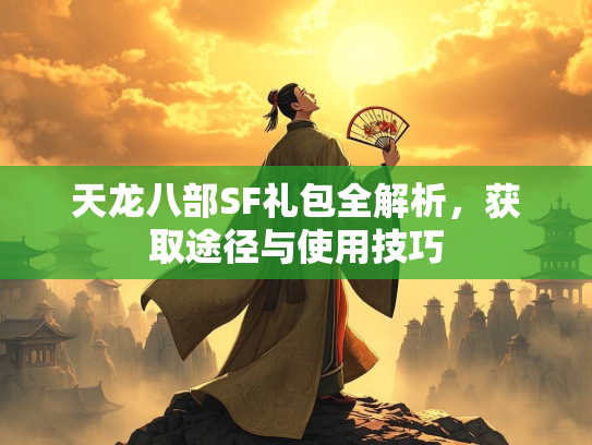 天龙八部SF礼包全解析，获取途径与使用技巧  第2张