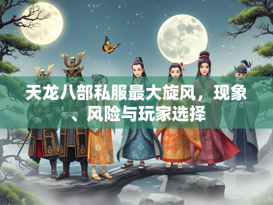 天龙八部私服最大旋风，现象、风险与玩家选择  第3张