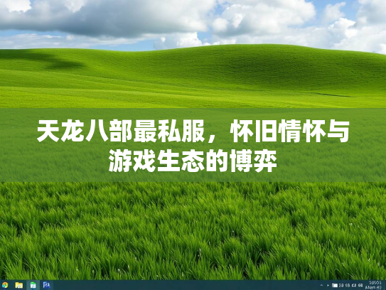 天龙八部最私服，怀旧情怀与游戏生态的博弈  第3张