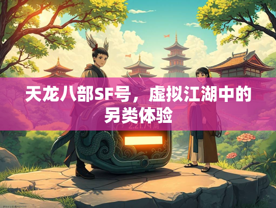 天龙八部SF号，虚拟江湖中的另类体验