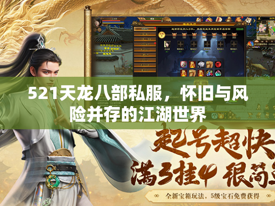 521天龙八部私服，怀旧与风险并存的江湖世界  第3张