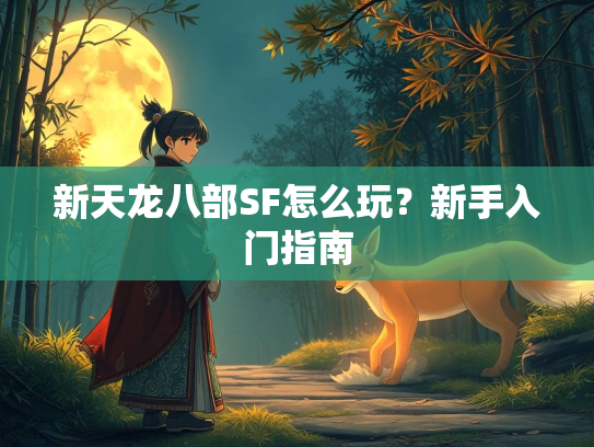 新天龙八部SF怎么玩？新手入门指南  第3张