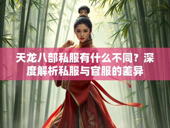 天龙八部私服有什么不同？深度解析私服与官服的差异