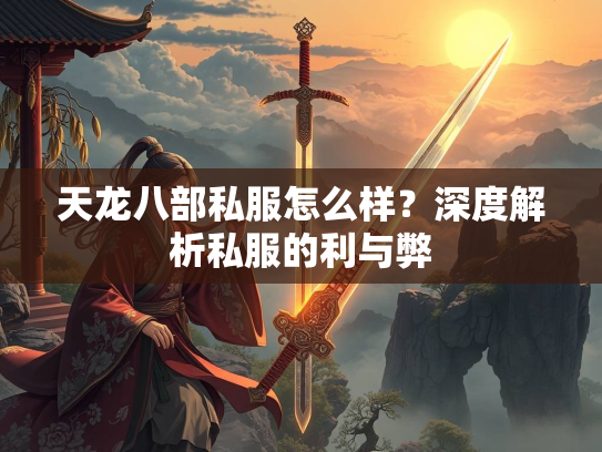 天龙八部私服怎么样？深度解析私服的利与弊
