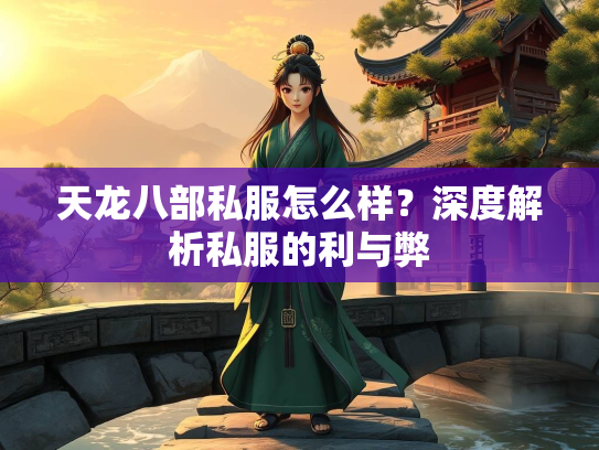天龙八部私服怎么样？深度解析私服的利与弊