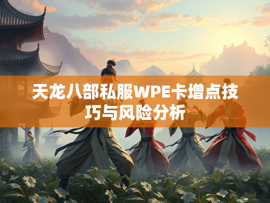 天龙八部私服WPE卡增点技巧与风险分析  第2张