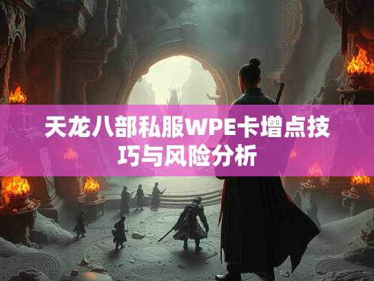 天龙八部私服WPE卡增点技巧与风险分析  第3张