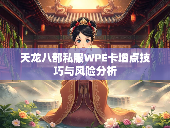 天龙八部私服WPE卡增点技巧与风险分析