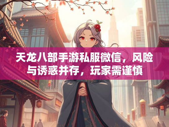 天龙八部手游私服微信，风险与诱惑并存，玩家需谨慎