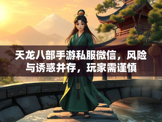 天龙八部手游私服微信，风险与诱惑并存，玩家需谨慎