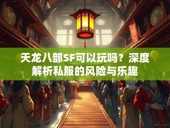 天龙八部SF可以玩吗？深度解析私服的风险与乐趣  第3张