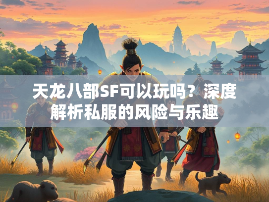 天龙八部SF可以玩吗？深度解析私服的风险与乐趣