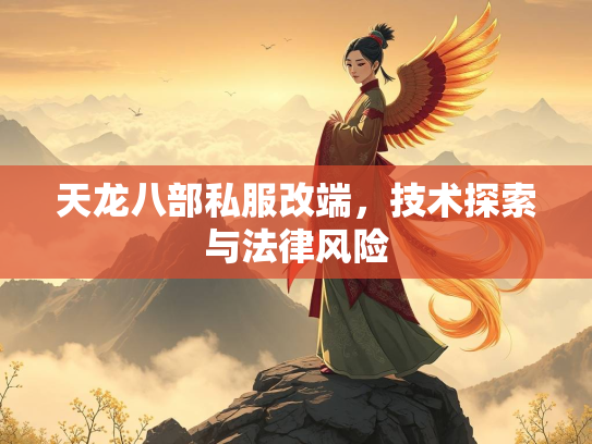 天龙八部私服改端，技术探索与法律风险