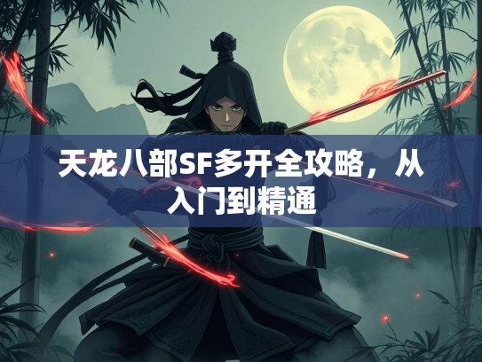 天龙八部SF多开全攻略，从入门到精通