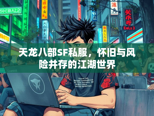 天龙八部SF私服，怀旧与风险并存的江湖世界  第3张
