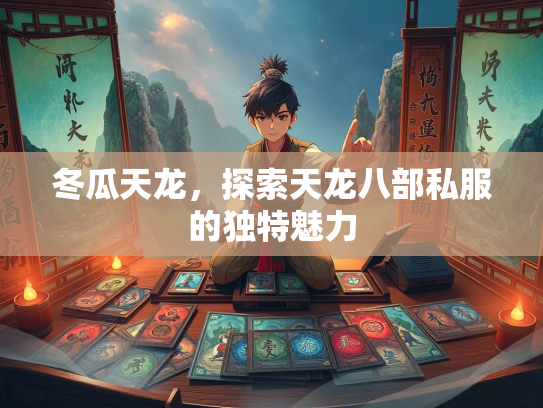 冬瓜天龙，探索天龙八部私服的独特魅力