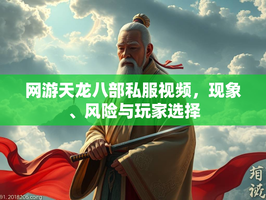 网游天龙八部私服视频，现象、风险与玩家选择