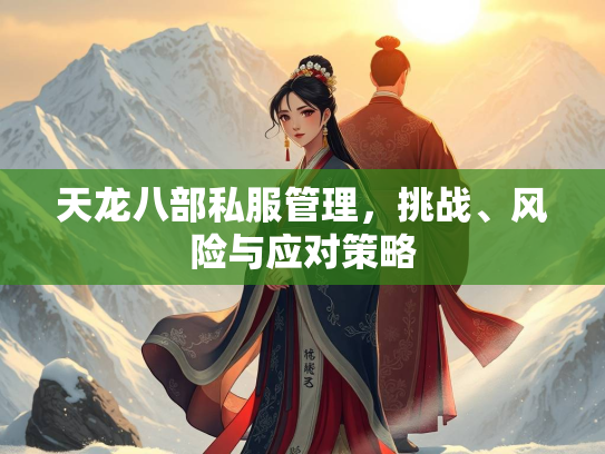 天龙八部私服管理，挑战、风险与应对策略