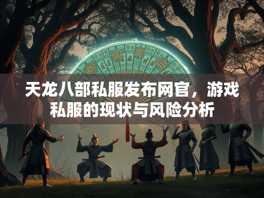 天龙八部私服发布网官，游戏私服的现状与风险分析