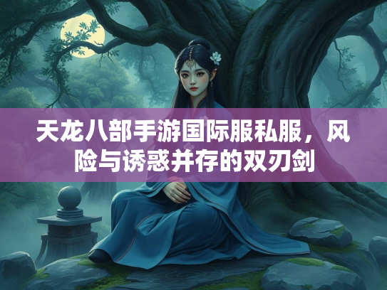 天龙八部手游国际服私服，风险与诱惑并存的双刃剑  第2张