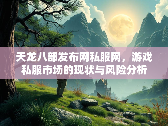 天龙八部发布网私服网，游戏私服市场的服市风险分析现状与风险分析  第1张