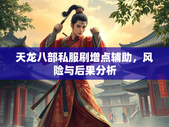 天龙八部私服刷增点辅助，风险与后果分析  第2张