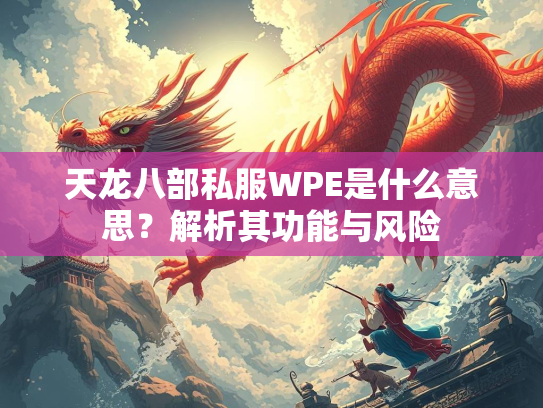 天龙八部私服WPE是什么意思？解析其功能与风险  第2张
