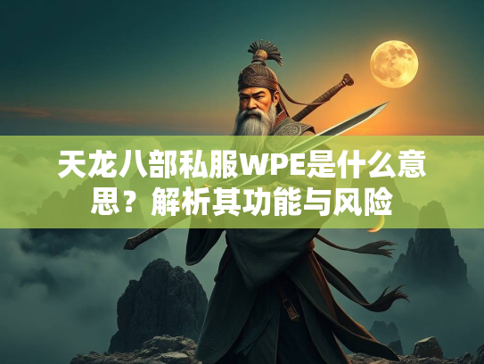 天龙八部私服WPE是什么意思？解析其功能与风险