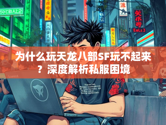 为什么玩天龙八部SF玩不起来？深度解析私服困境  第2张
